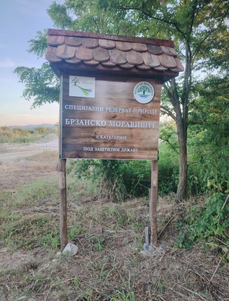 brzansko moraviste